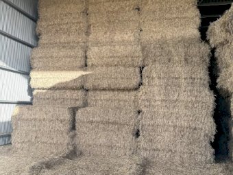 Wheaten Hay 8x4x3 Bales