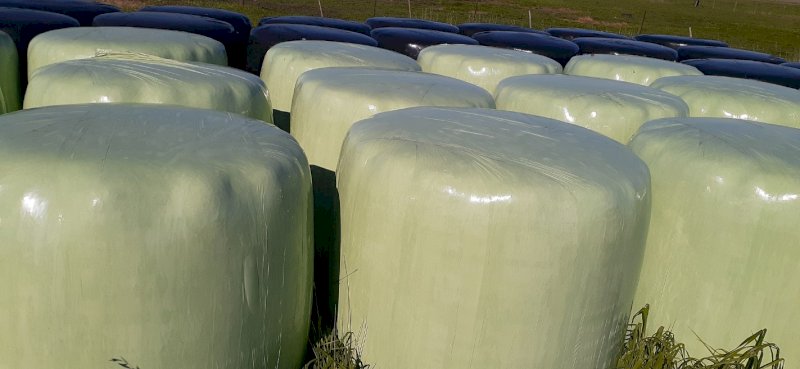Pasture Silage Round Bales