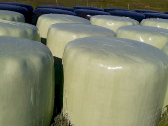 Pasture Silage Round Bales