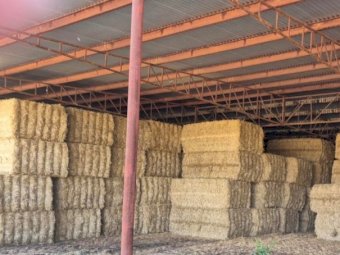 175mt Barley Straw 490kg 8x4x3 Bales