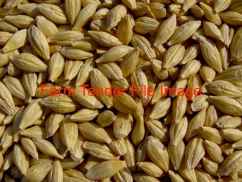 44mt BAR1 Barley