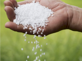 Urea ex Adelaide - August/September collection