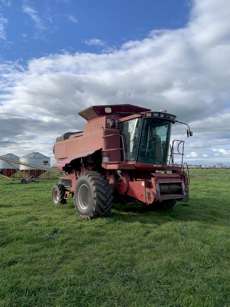 2003 Case 2388 Header with 36' Draper Front on Leith Trailer