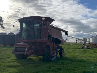2003 Case 2388 Header with 36' Draper Front on Leith Trailer