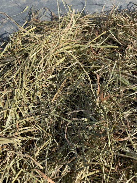 100 m/t Oaten and Ryegrass Hay 8x4x4 Bales