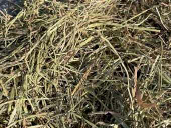 100 m/t Oaten and Ryegrass Hay 8x4x4 Bales
