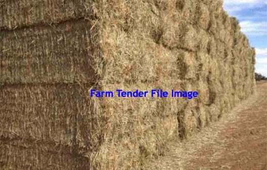 45MT Barley Straw 8X4X3 Large Square Bales