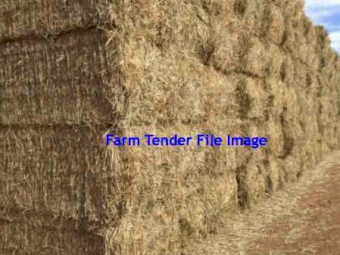 45MT Barley Straw 8X4X3 Large Square Bales