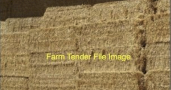 45MT Barley Straw 8X4X3 Large Square Bales