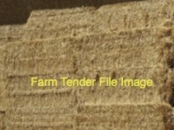 45MT Barley Straw 8X4X3 Large Square Bales