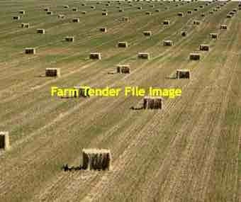 100mt Oaten Straw 8x4x3 Bales