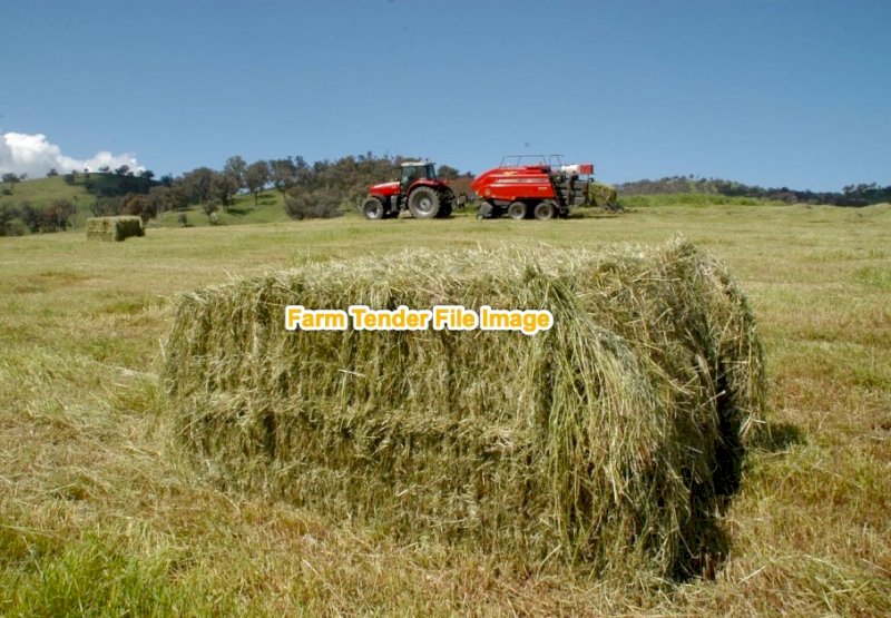 100 mt Rye Grass/Clover Hay 8x4x3 Bales