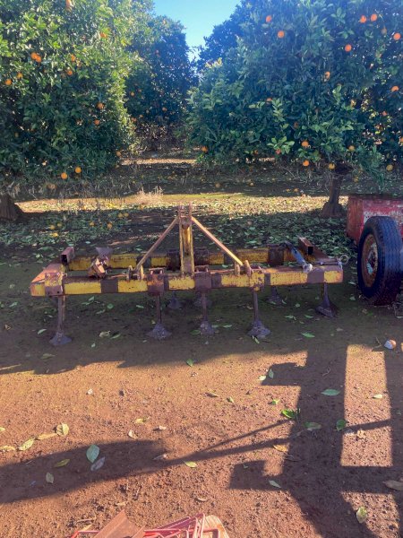 10 Tyne Orchard Ripper