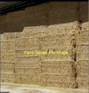 100mt Barley Straw 8x4x3 Bales