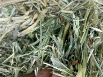 20MT Oaten Hay 8X4X3 Large Square Bales