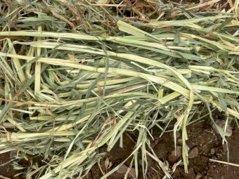 20MT Oaten Hay 8X4X3 Large Square Bales