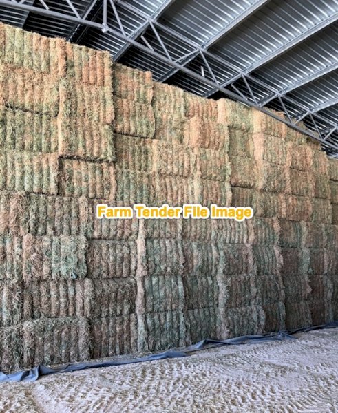 100 mt Vetch Shedded 8x4x3 Hay