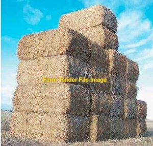 40 mt Vetch Hay 8x4x3 Bales 25/26 Season
