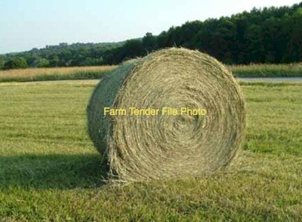 Expression of Interest Cereal Rye Hay Round Bales