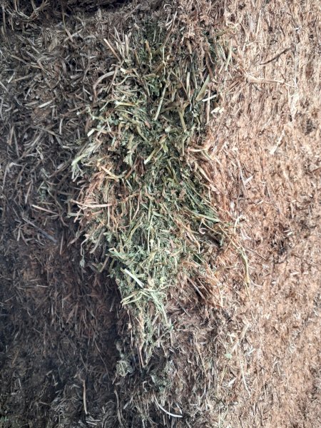 A1 Vetch Hay 8x4x3