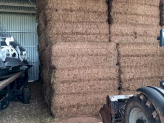 A1 Vetch Hay 8x4x3