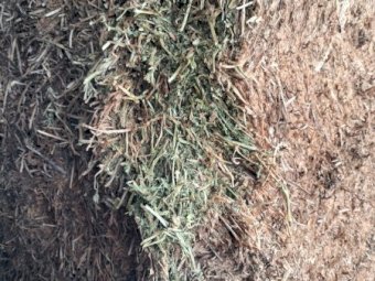 A1 Vetch Hay 8x4x3