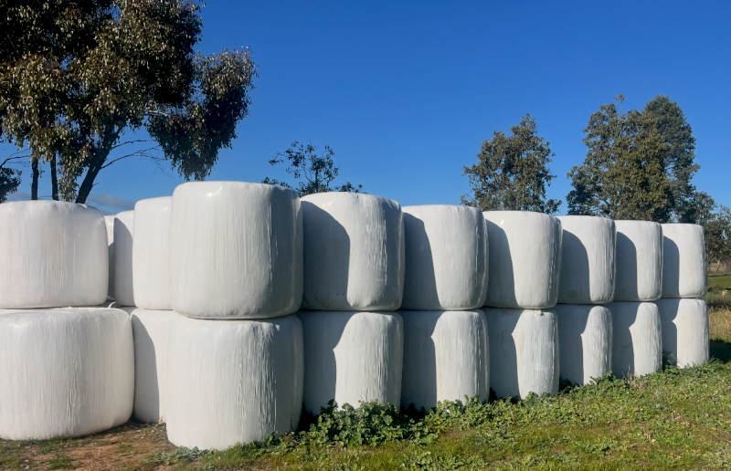 75 x Wheaten Hay/Silage 250-300kg Rolls
