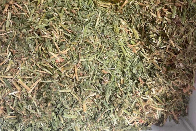 200mt Lucerne Hay 8x4x3 Bales