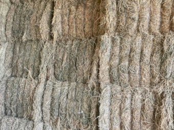 200mt Lucerne Hay 8x4x3 Bales