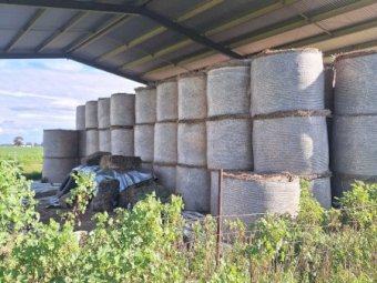 150 X Oaten/ Rye/ Clover Hay 5X4 Round Bales