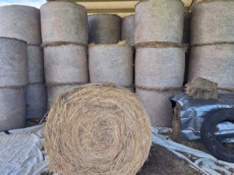 150 X Oaten/ Rye/ Clover Hay 5X4 Round Bales