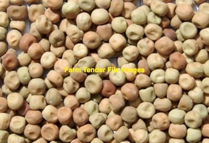 40 m/t No1 Peas