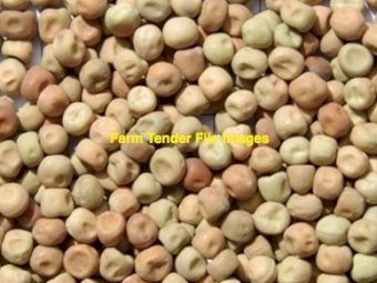 40 m/t No1 Peas