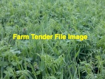 EOI Vetch Hay 700-720kg 8x4x3 Bales (New Season)