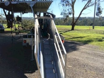 2023 Perkinz 2 Stand Crutching Trailer