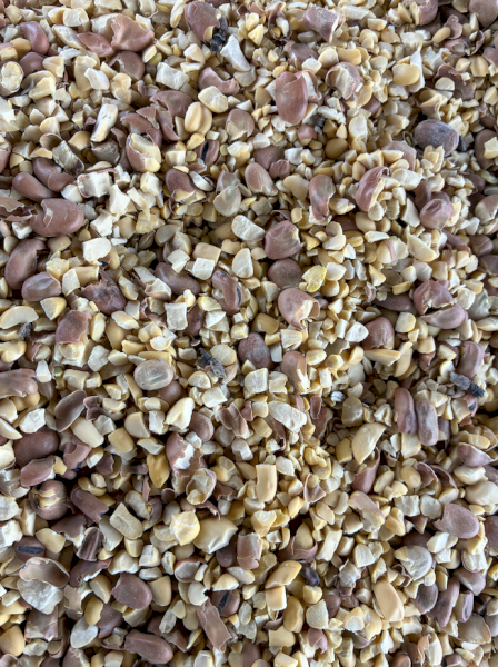 700mt Roller Milled Faba Beans