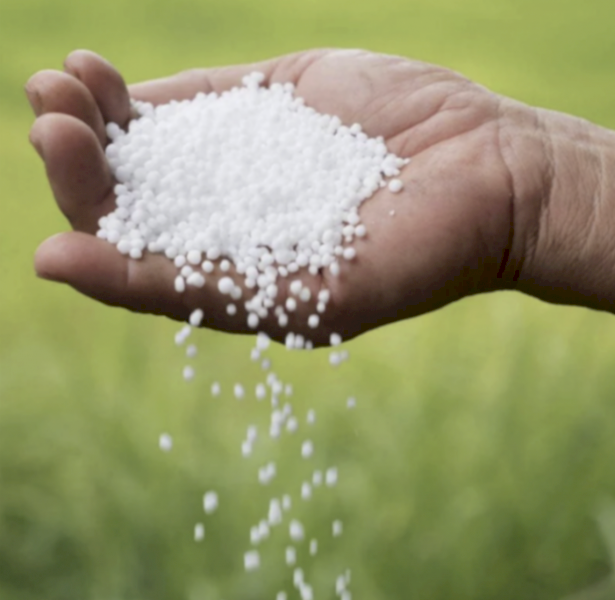 Urea ex Newcastle - August/September Collection
