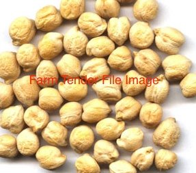 26mt Chickpeas (Stock Feed)