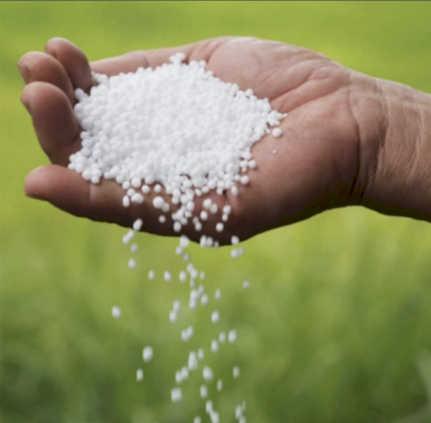 Urea ex Geelong