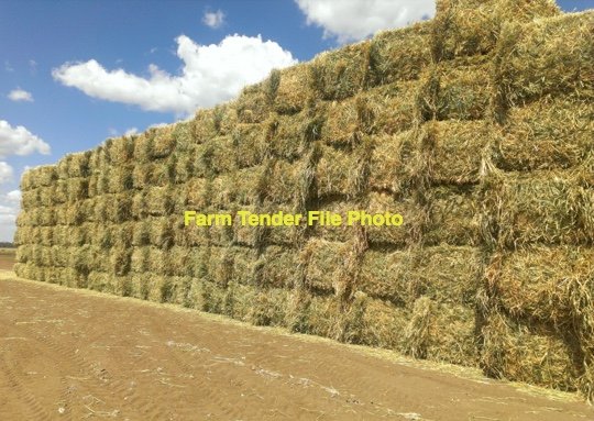 EOI Oaten Hay 650-750kg 8x4x3 Bales (New Season)