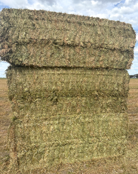 200mt Vetch Hay 665kg 8x4x3 Bales