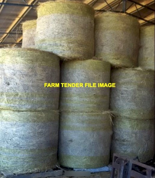 31 x Lucerne Hay Round Bales