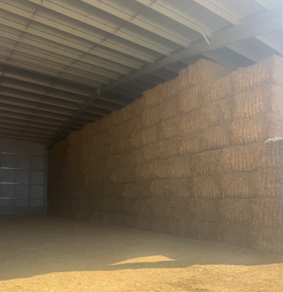 285mt Barley Hay 650kg 8x4x3 Bales