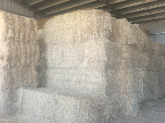 285mt Barley Hay 650kg 8x4x3 Bales