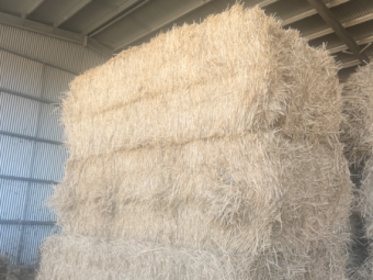 285mt Barley Hay 650kg 8x4x3 Bales
