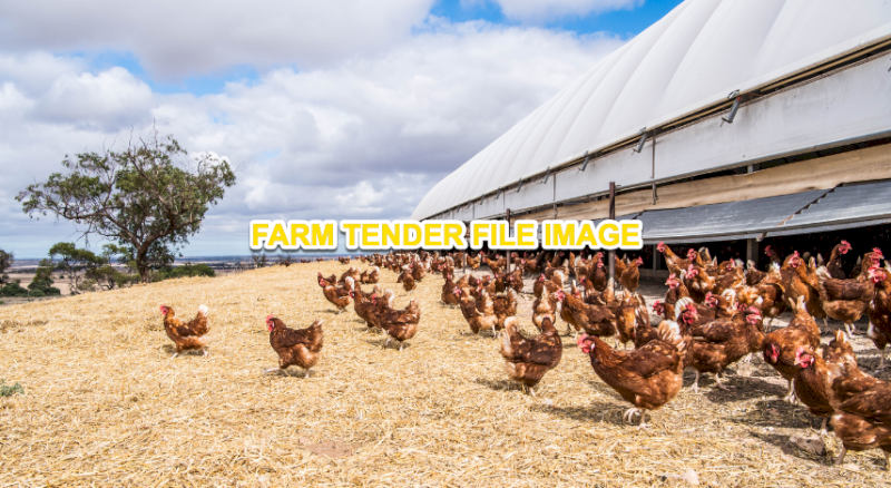 WANTED Old Run Down Poultry Farms
