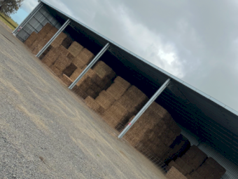 250mt Vetch Hay 650kg 8x4x3 Bales