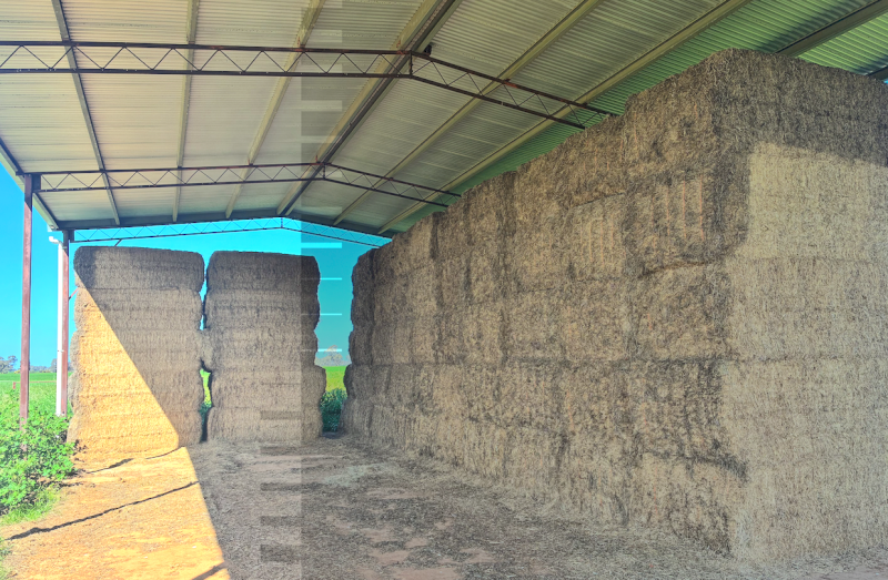 36mt Vetch Hay 600kg 8x4x3 Bales