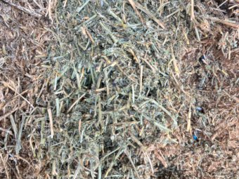36mt Vetch Hay 600kg 8x4x3 Bales