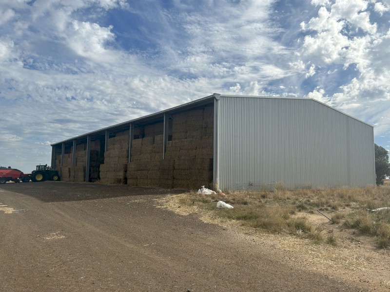 1000mt Wheat Straw 430kg 8x4x3 Bales